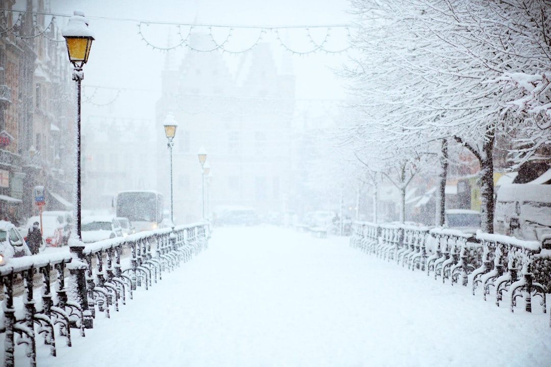 Photo Winter haircare