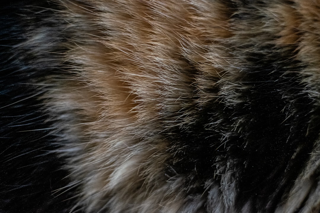 Photo fur vest